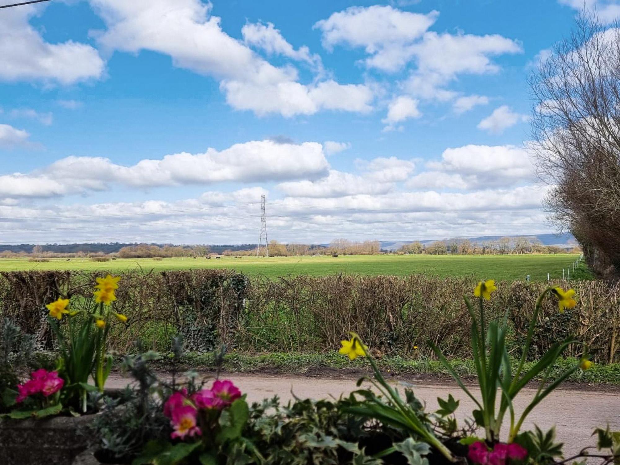 Katy Villa Meare Bagian luar foto